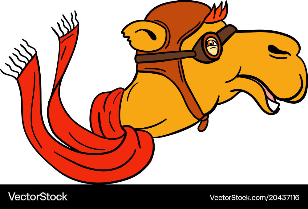 Camel Pilot with Goggles and Scarf Vector Image