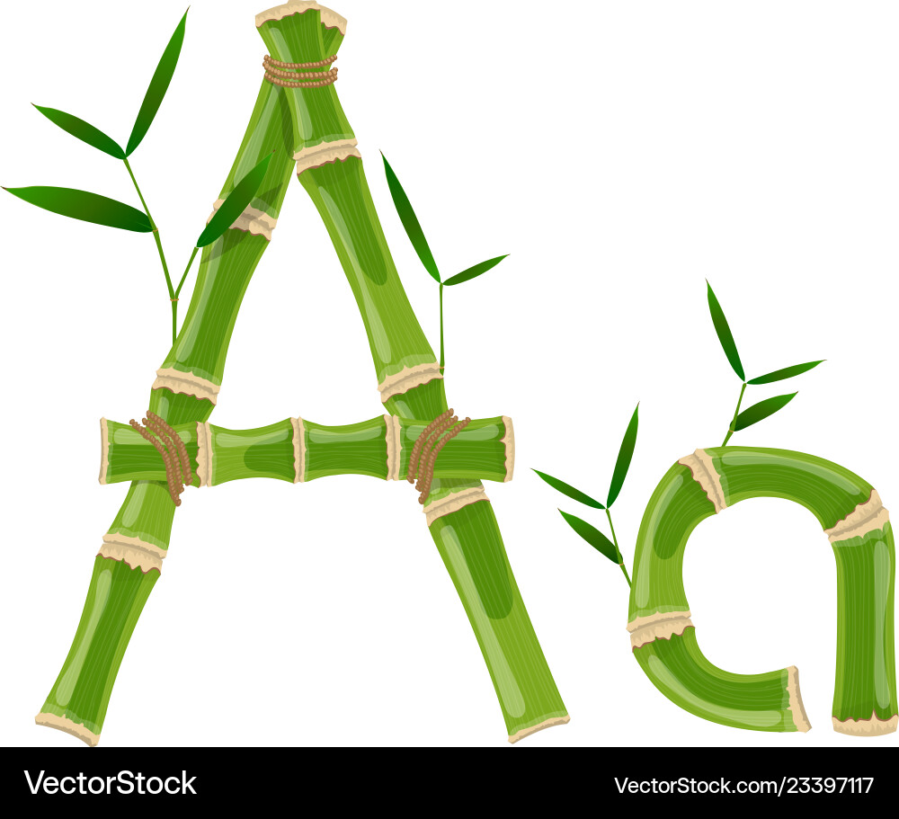 Bamboo letter Royalty Free Vector Image - VectorStock