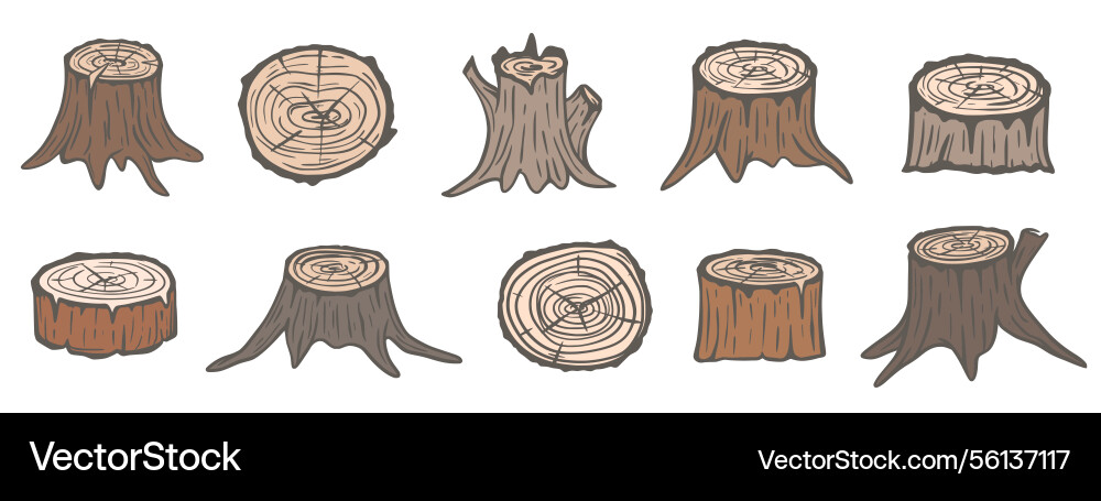Old stumps of different trees set sawed tree Old stumps of different trees set sawed tree Vector Image
