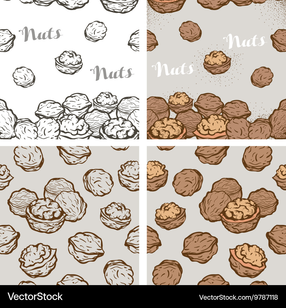 Sketch Nut Seamless Background vector image