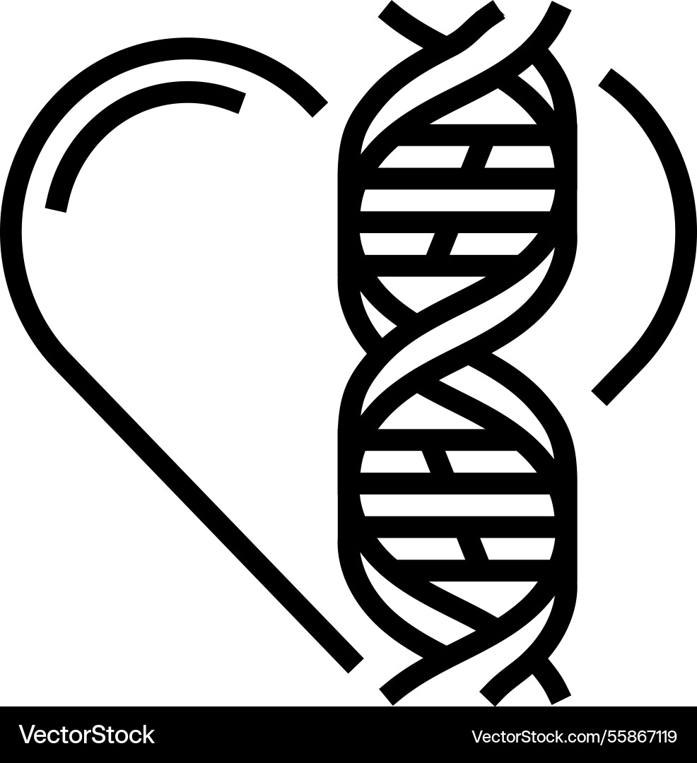 Heart with genetic code lines line icon Heart with genetic code lines line icon vector image