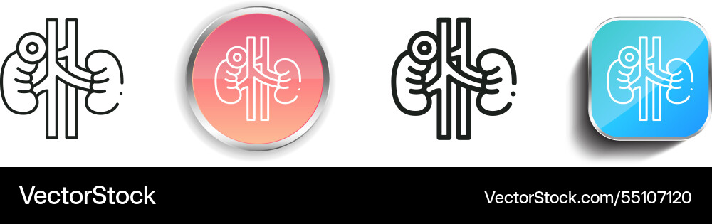 Kidney icon thin linear regular and button style Kidney icon thin linear regular and button style vector image