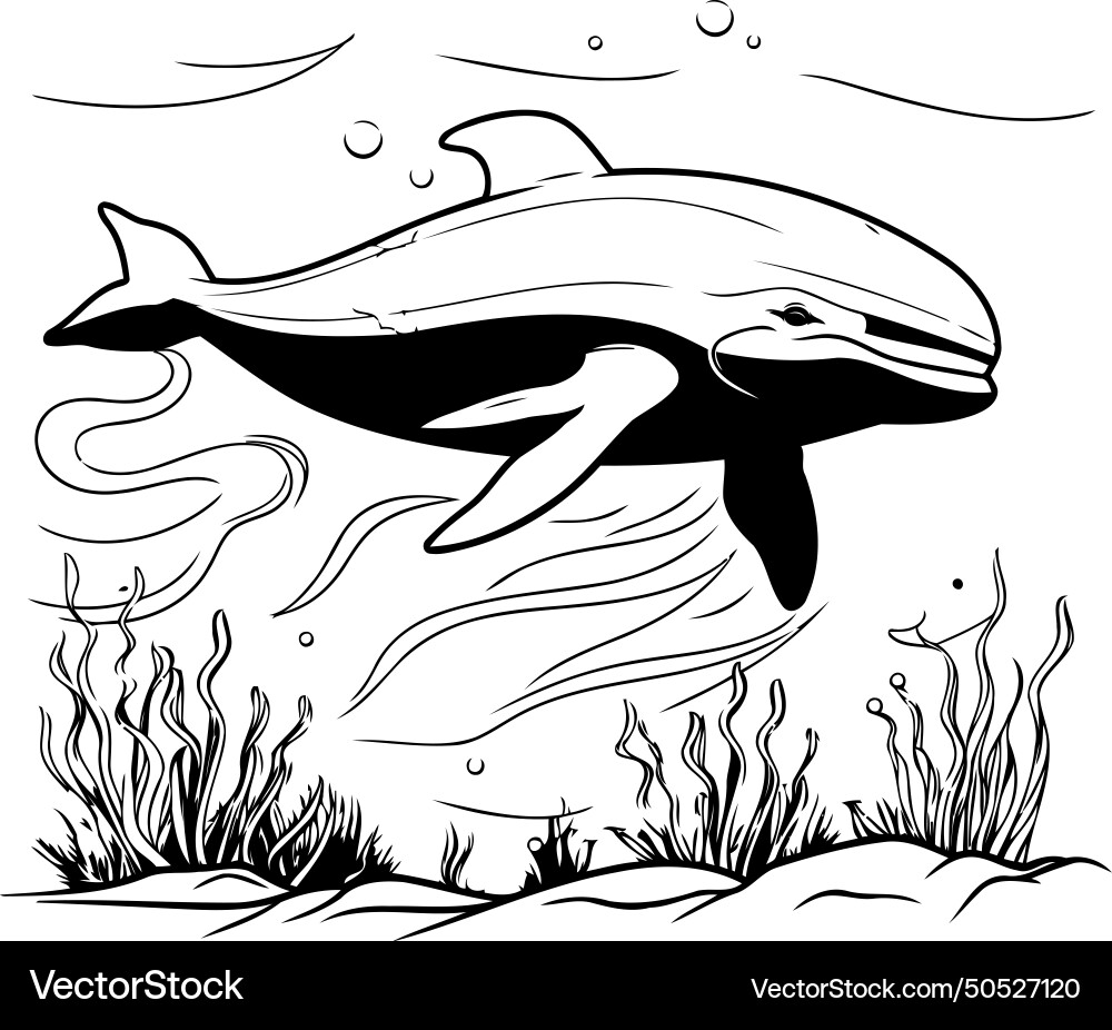 Whale in the sea black and white Royalty Free Vector Image