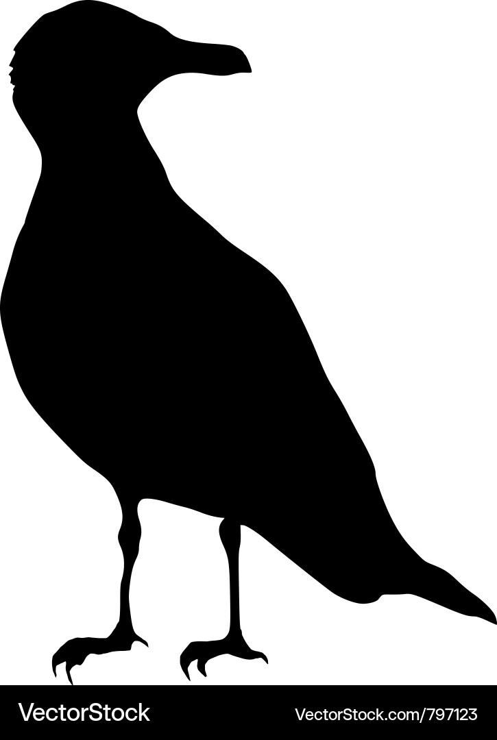 Seagull Silhouette vector image