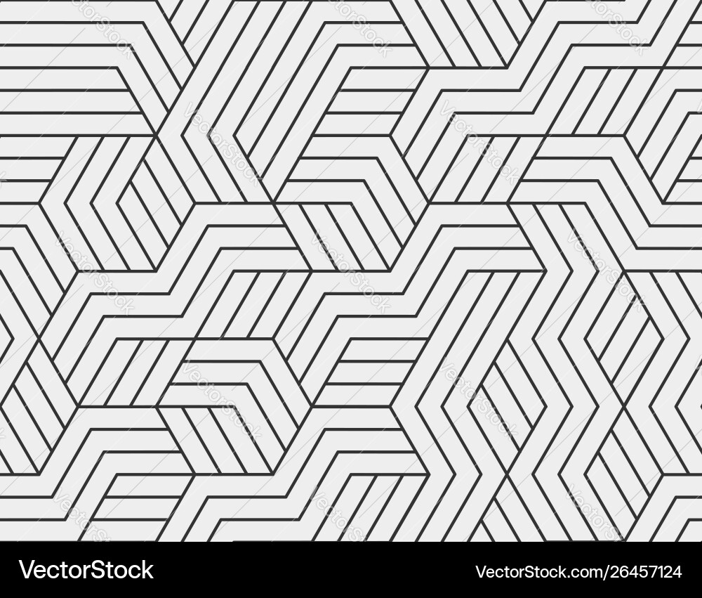 Geometric Line Pattern vector image
