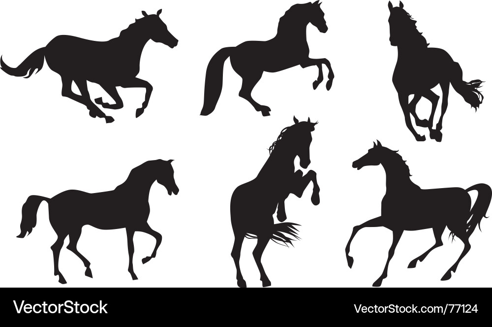Horse Silhouettes Set vector image