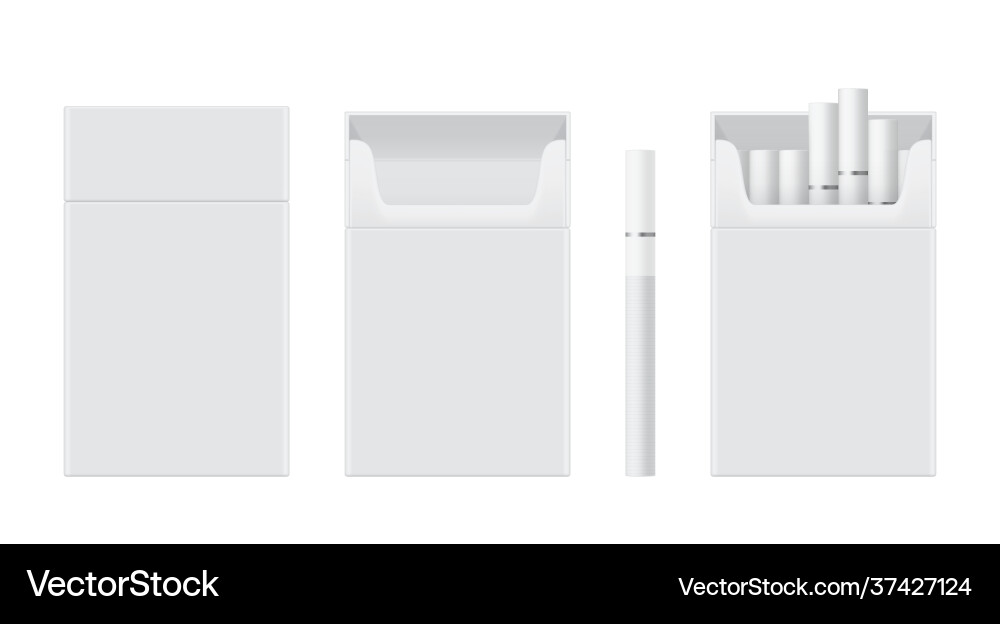 Pack or packet cigarettes open closed empty Pack or packet cigarettes open closed empty vector image