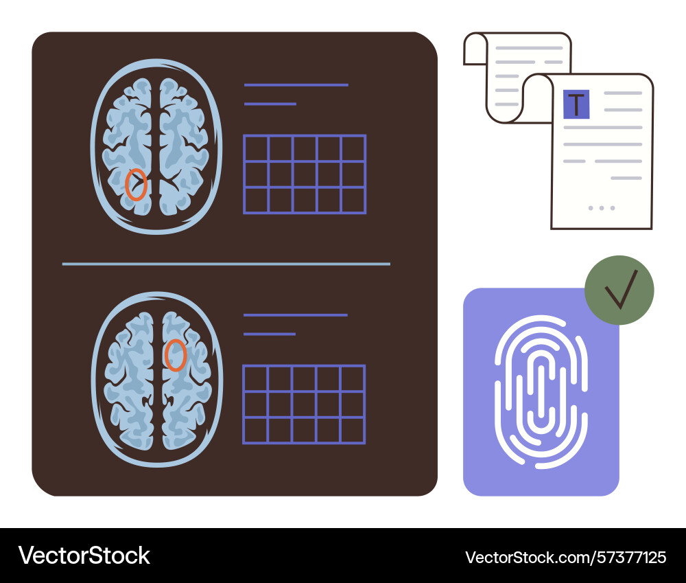 Brain scan analysis with documents biometrics Brain scan analysis with documents biometrics vector image