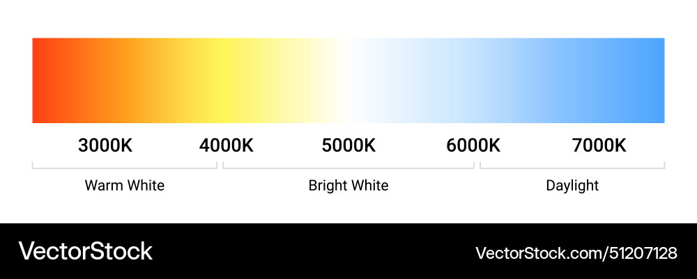 Kelvin temperature scale chart gradient Kelvin temperature scale chart gradient vector image