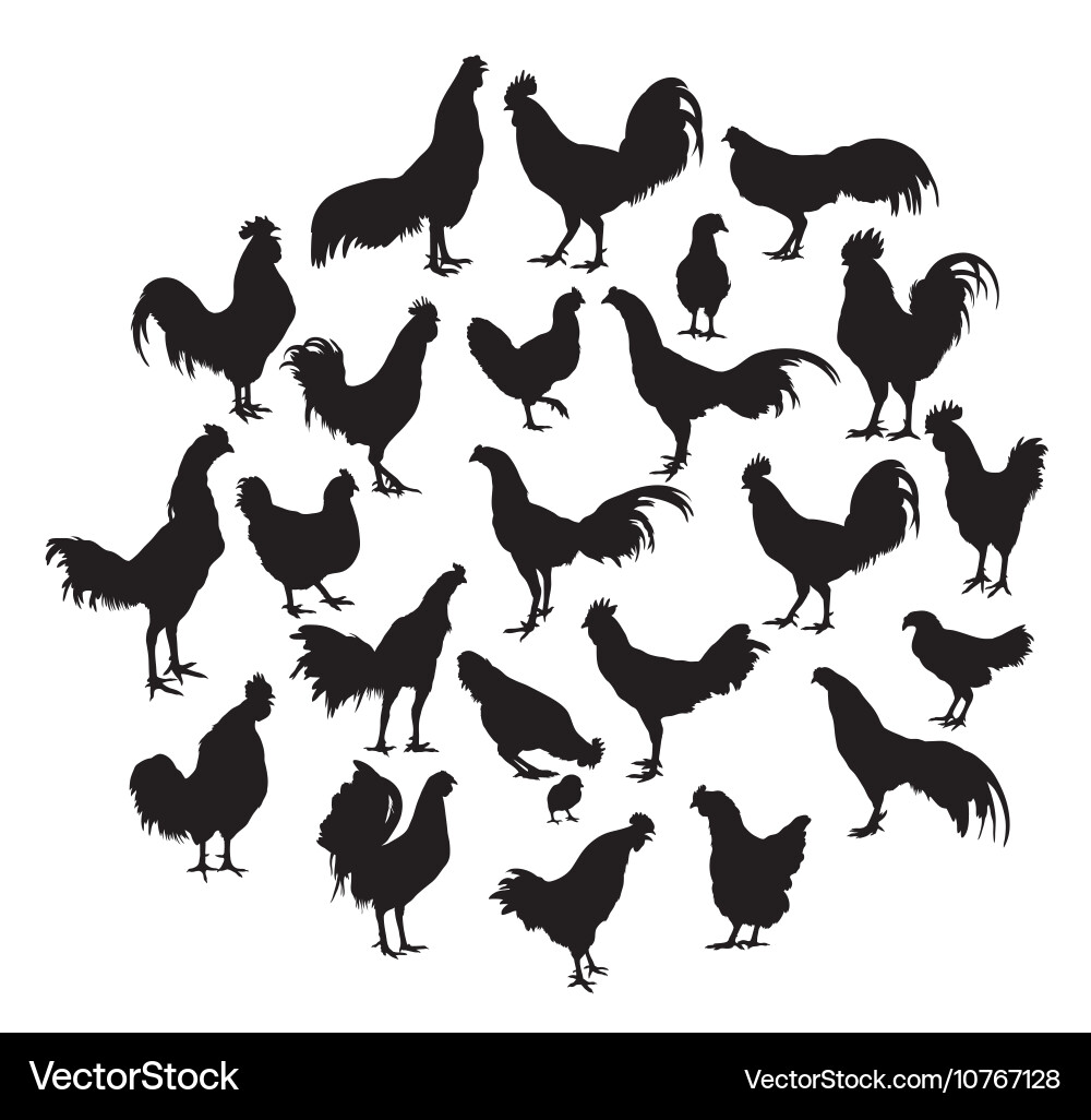 Silhouette roosters children and families Vector Image