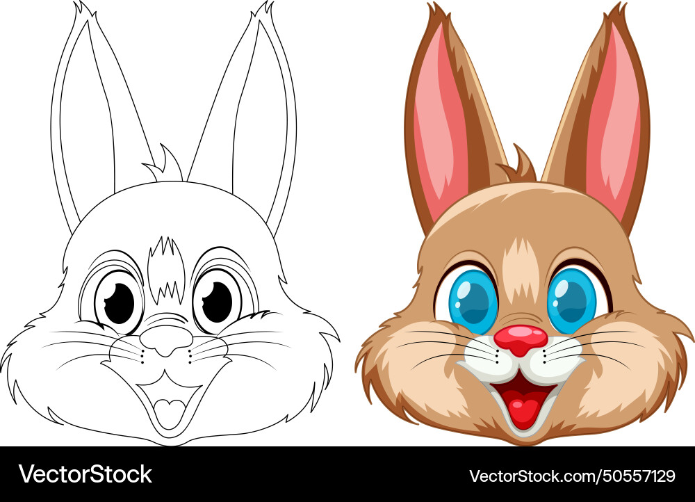A rabbit before and after coloring Royalty Free Vector Image