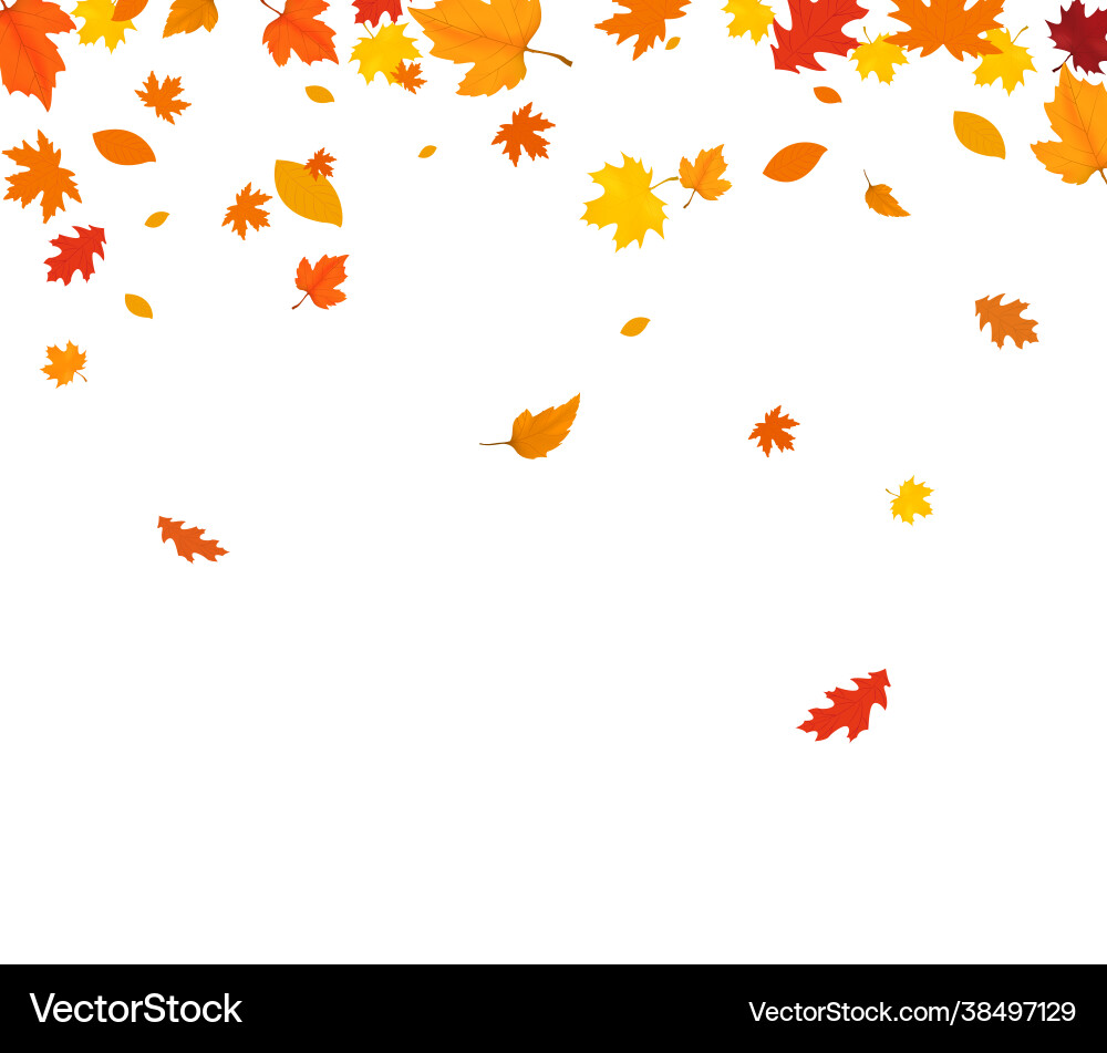 Autumn falling leaves isolated Autumn falling leaves isolated vector image