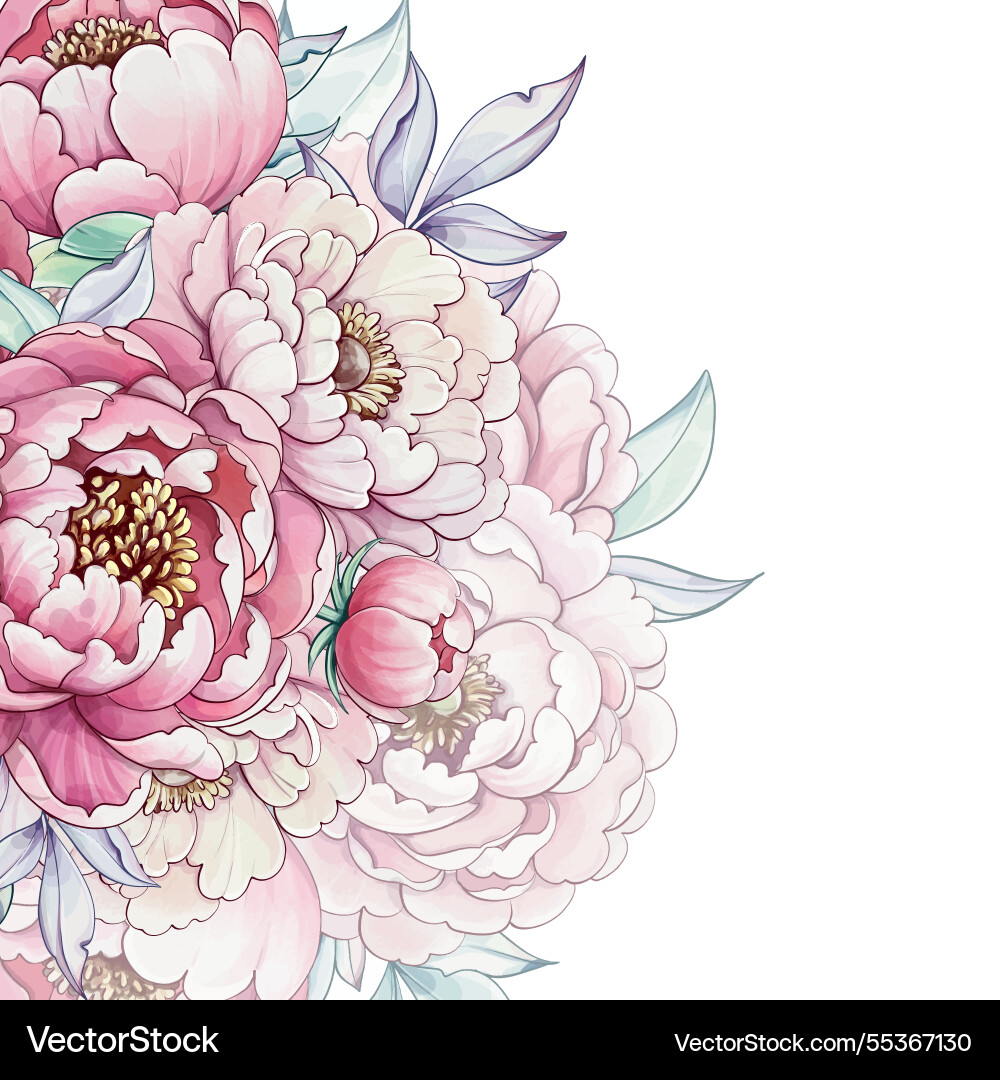 A vibrant display of peonies unfolds with soft A vibrant display of peonies unfolds with soft Vector Image