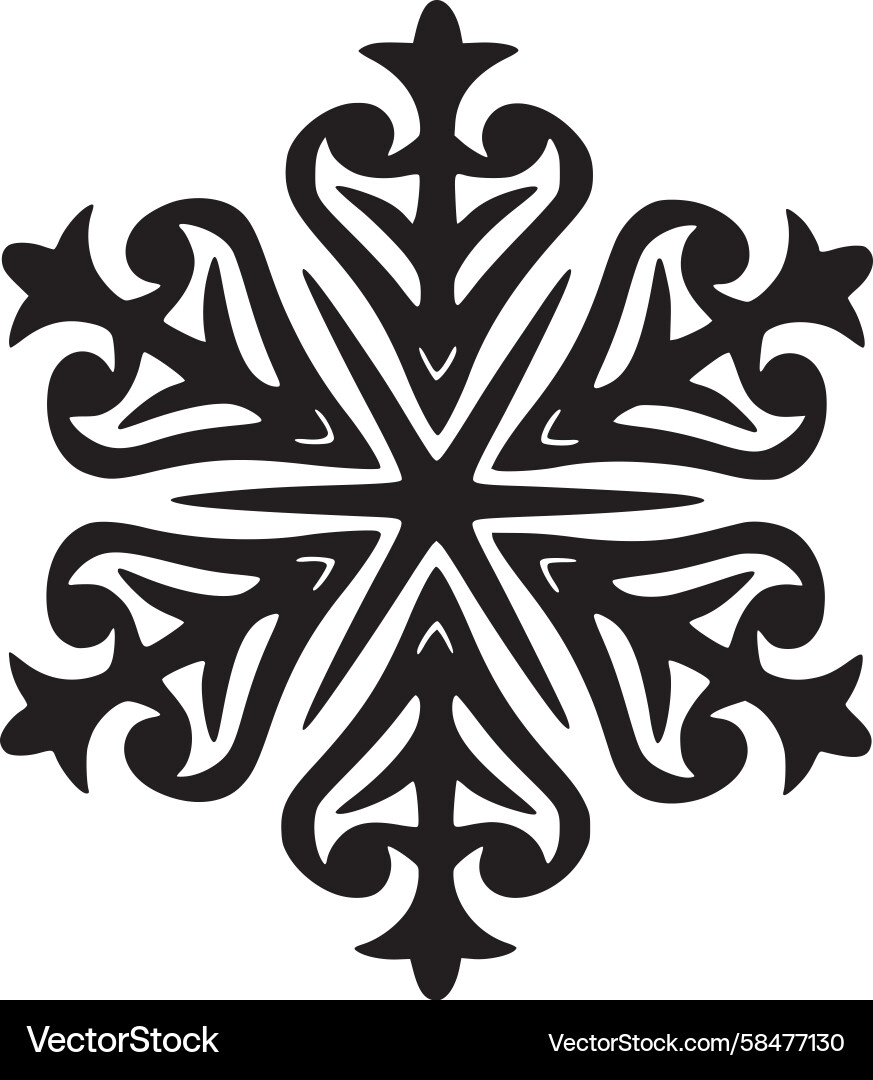 Complex Snowflake Pattern Vector Image