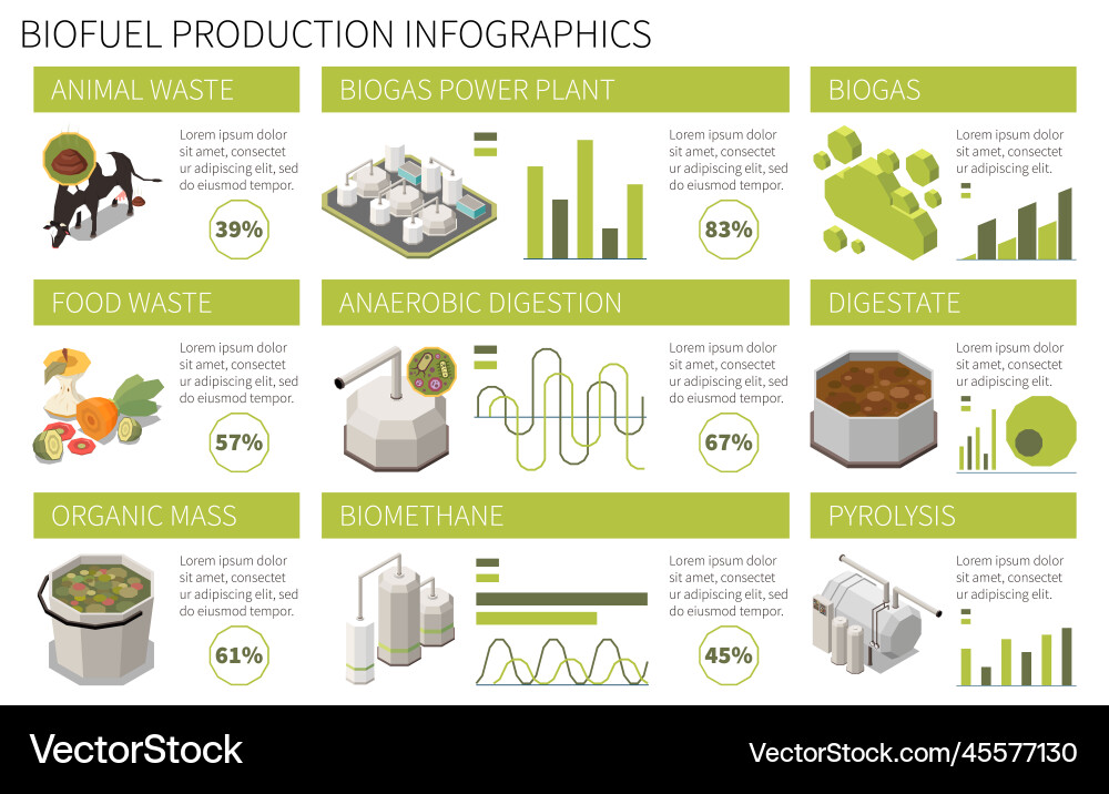 Isometrische Biokraftstoffproduktion Infografiken Isometrische Biokraftstoffproduktion Infografiken vektorbild