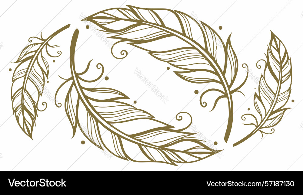 Swirling feather frame element design Vector Image