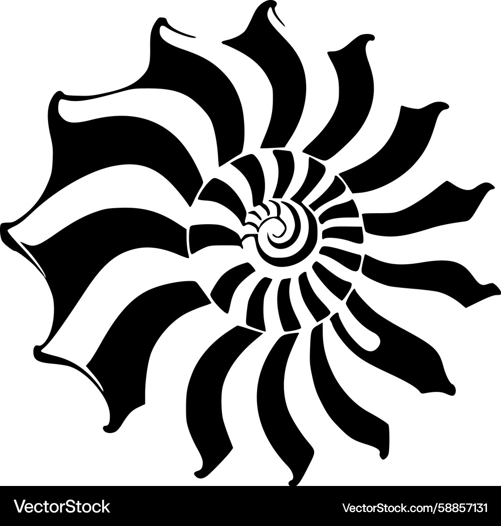 Nautilus Shell Spiral Pattern Vector Image