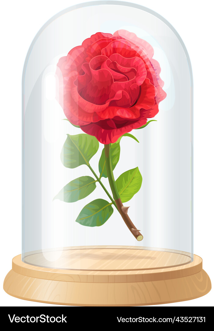 Red rose glass flask Red rose glass flask vector image