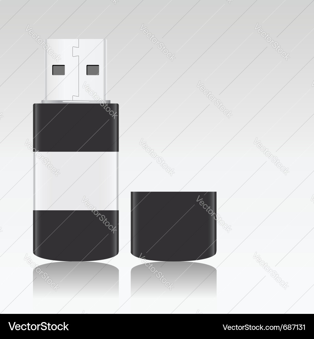USB Flash Drive with Reflection Vector Image