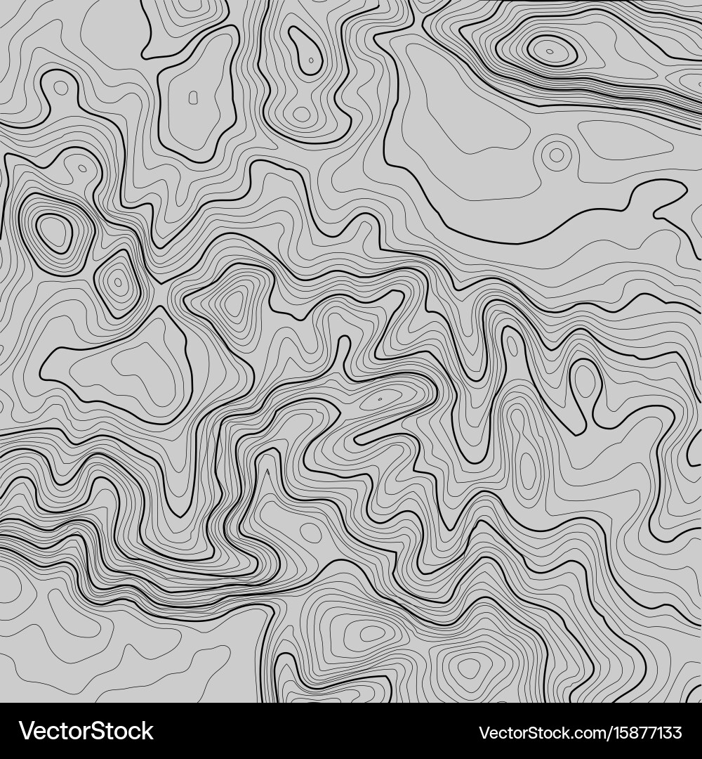 Topographic map background with space for copy Vector Image