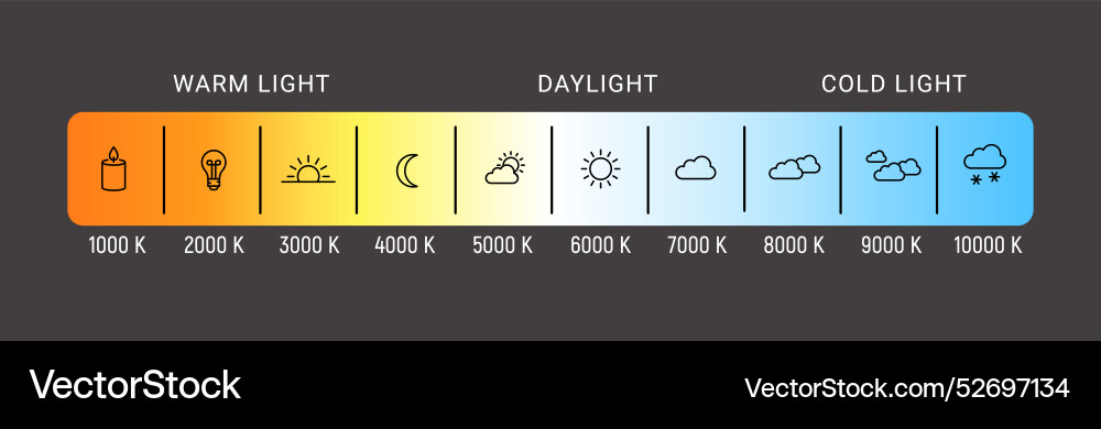 Kelvin temperature scale chart gradient Kelvin temperature scale chart gradient vector image