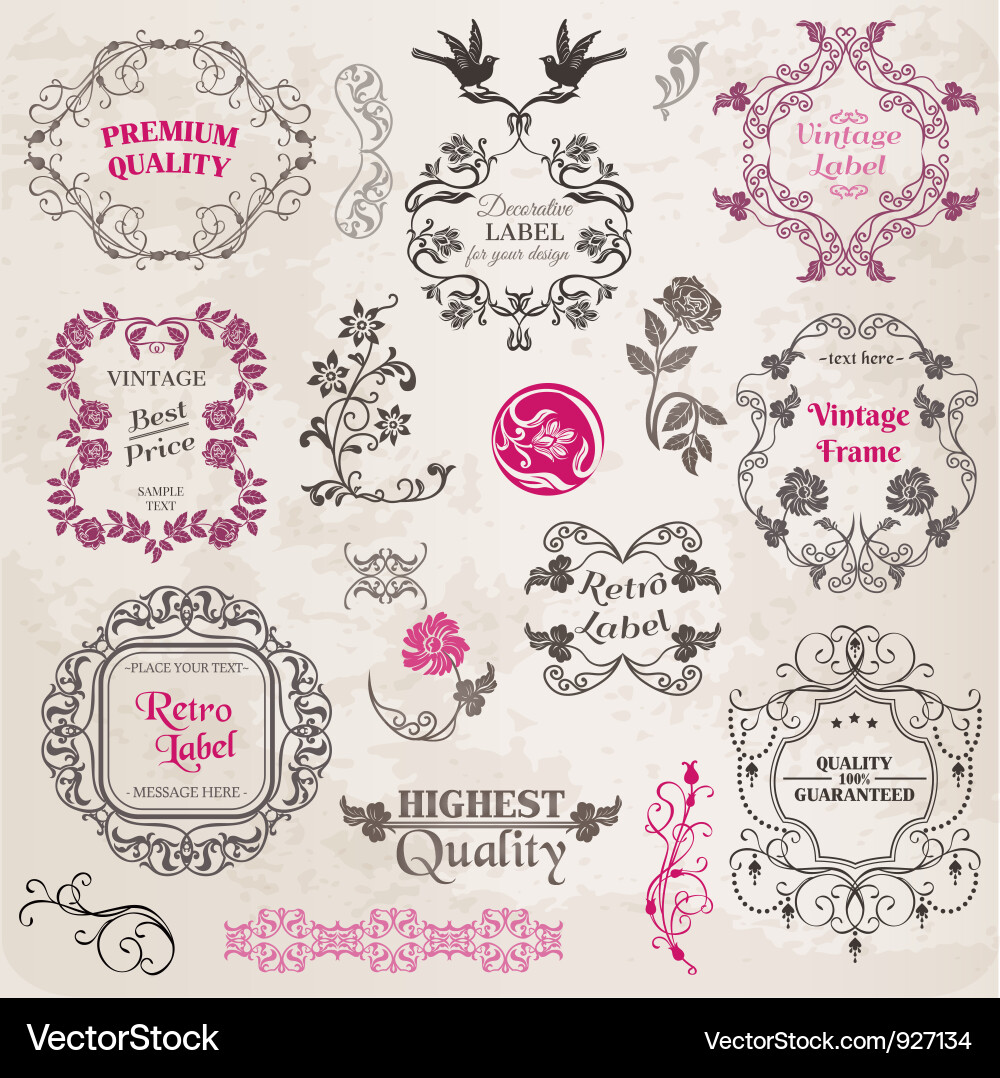 Vintage Floral Calligraphy Set vector image