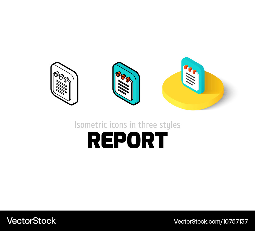 Report icon in different style vector image