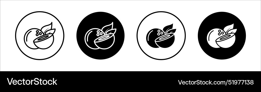 Coconut flat line icon set thin Royalty Free Vector Image