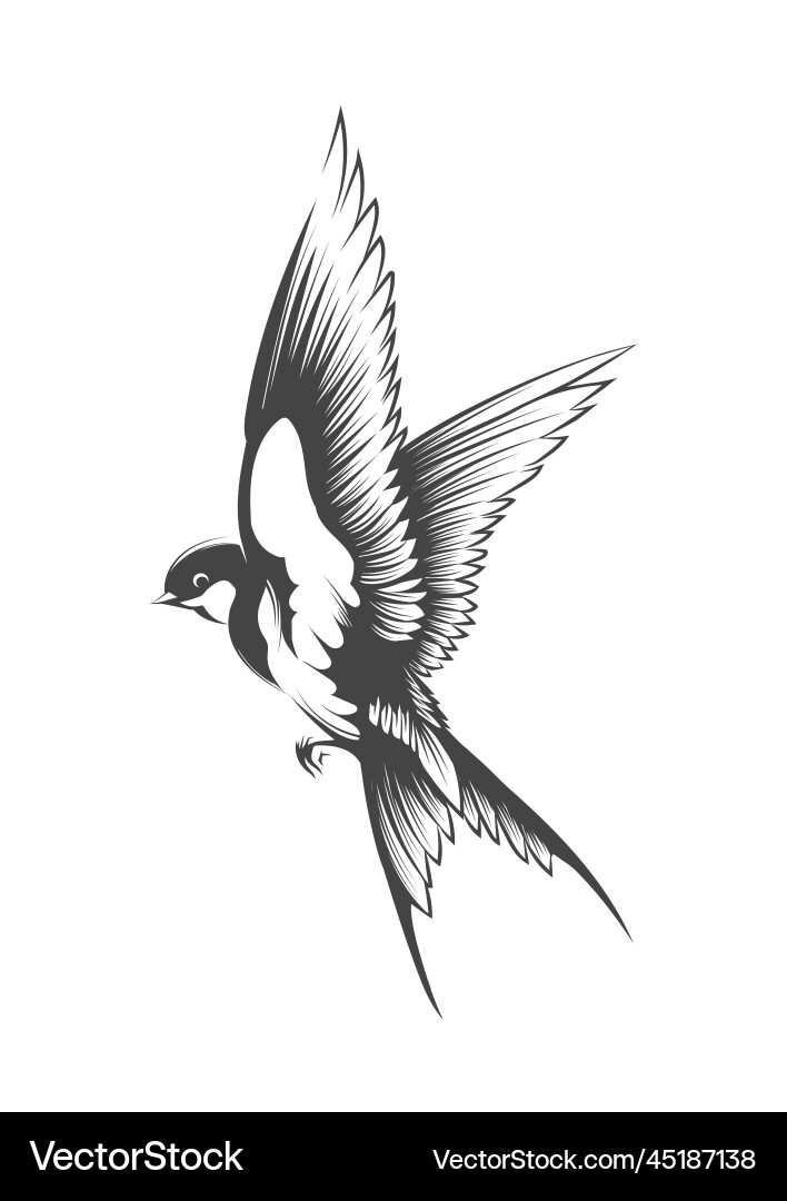 Black And White Birds Tattoos