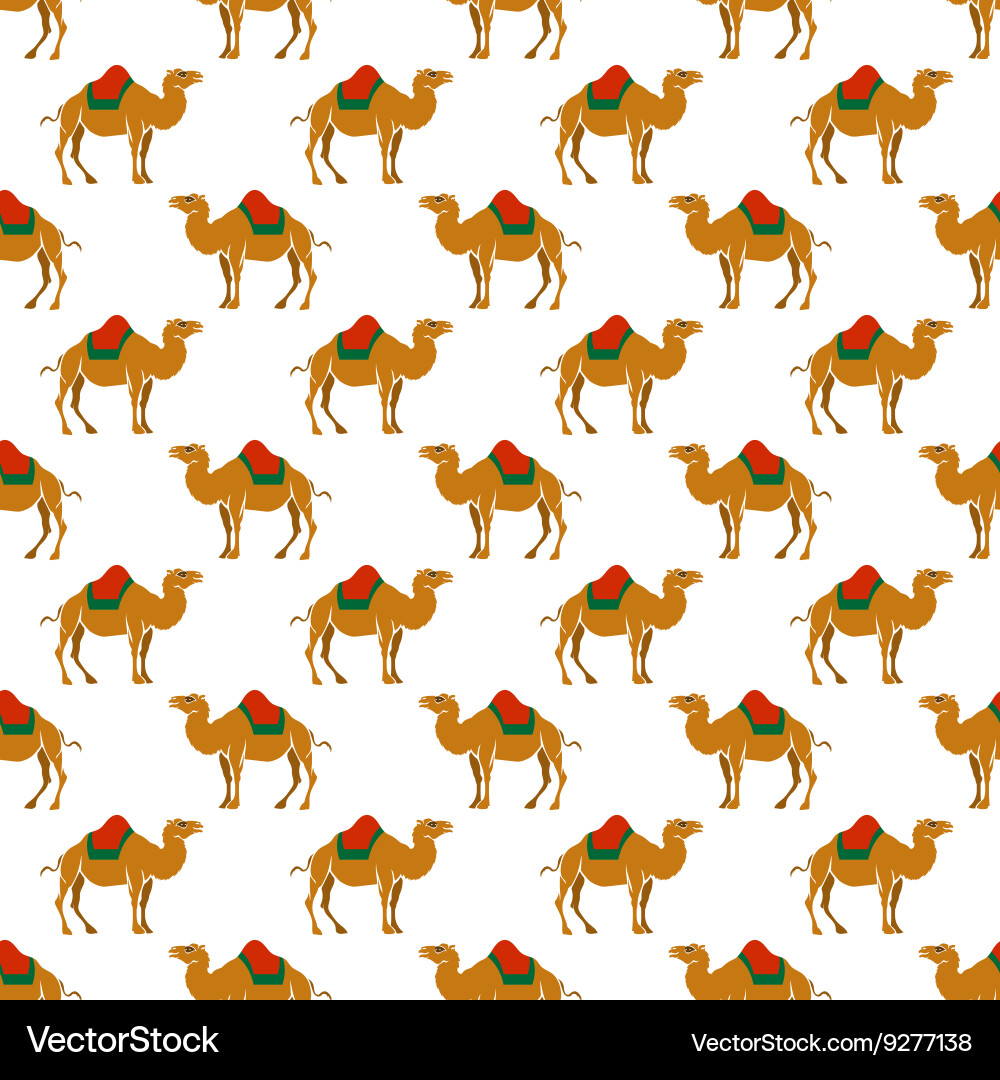 Seamless pattern with camel Vector Image