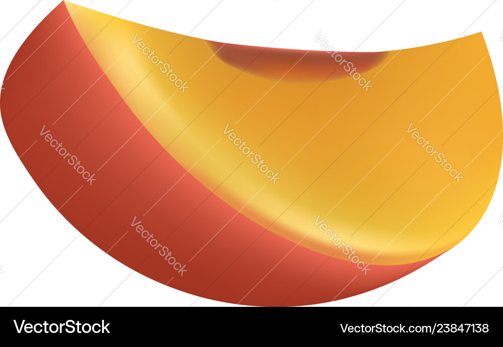 Slice of peach icon realistic style Slice of peach icon realistic style Vector Image