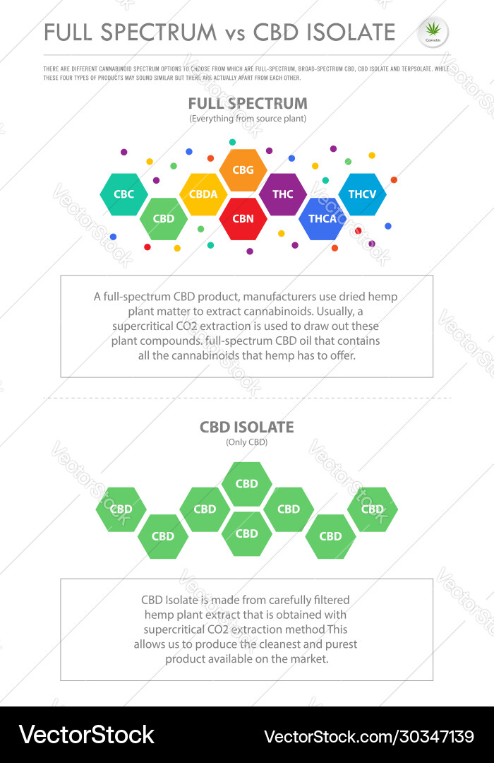 Full Spectrum vs CBD Isolate vector image