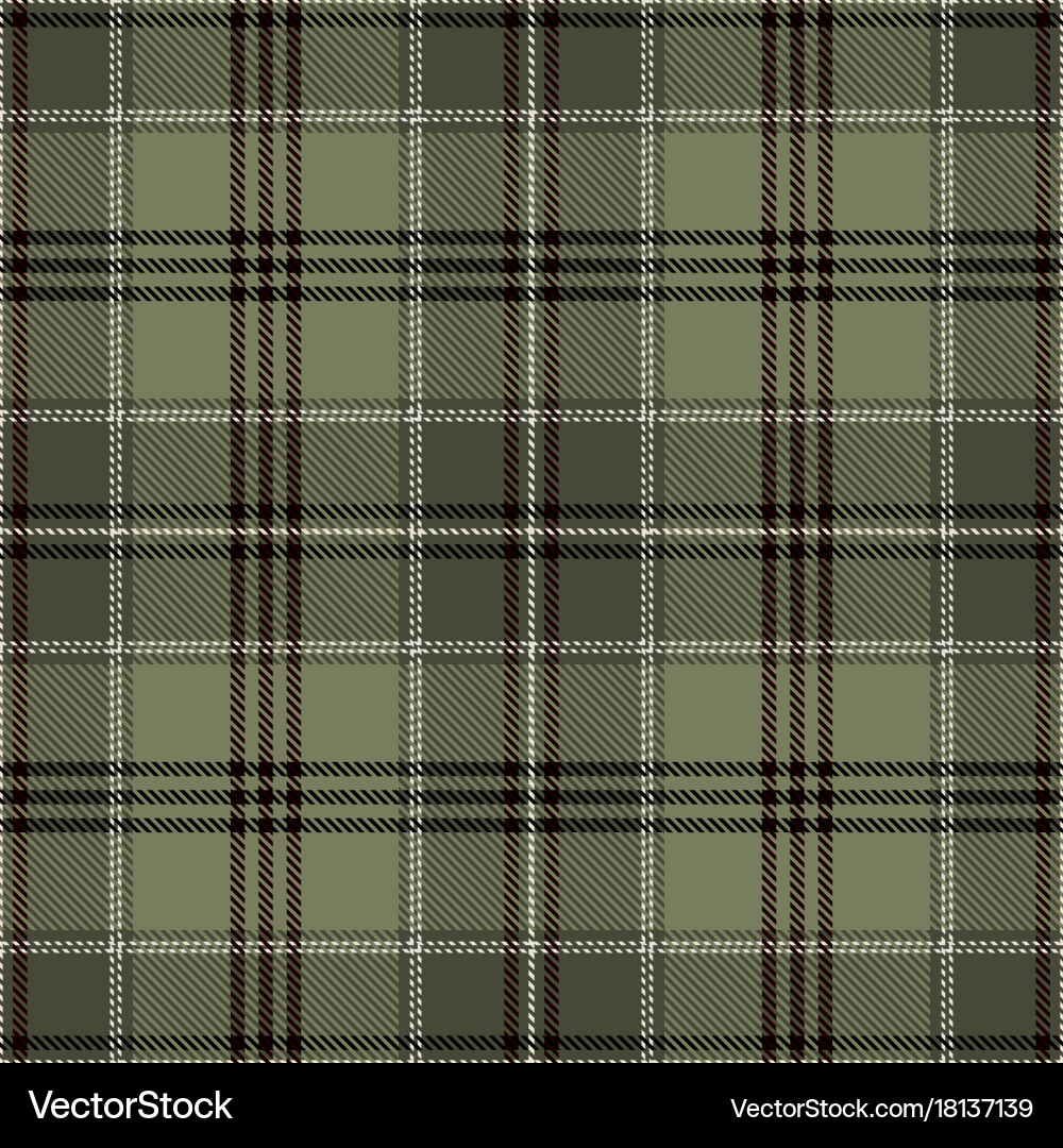 Tartan seamless pattern background vector image