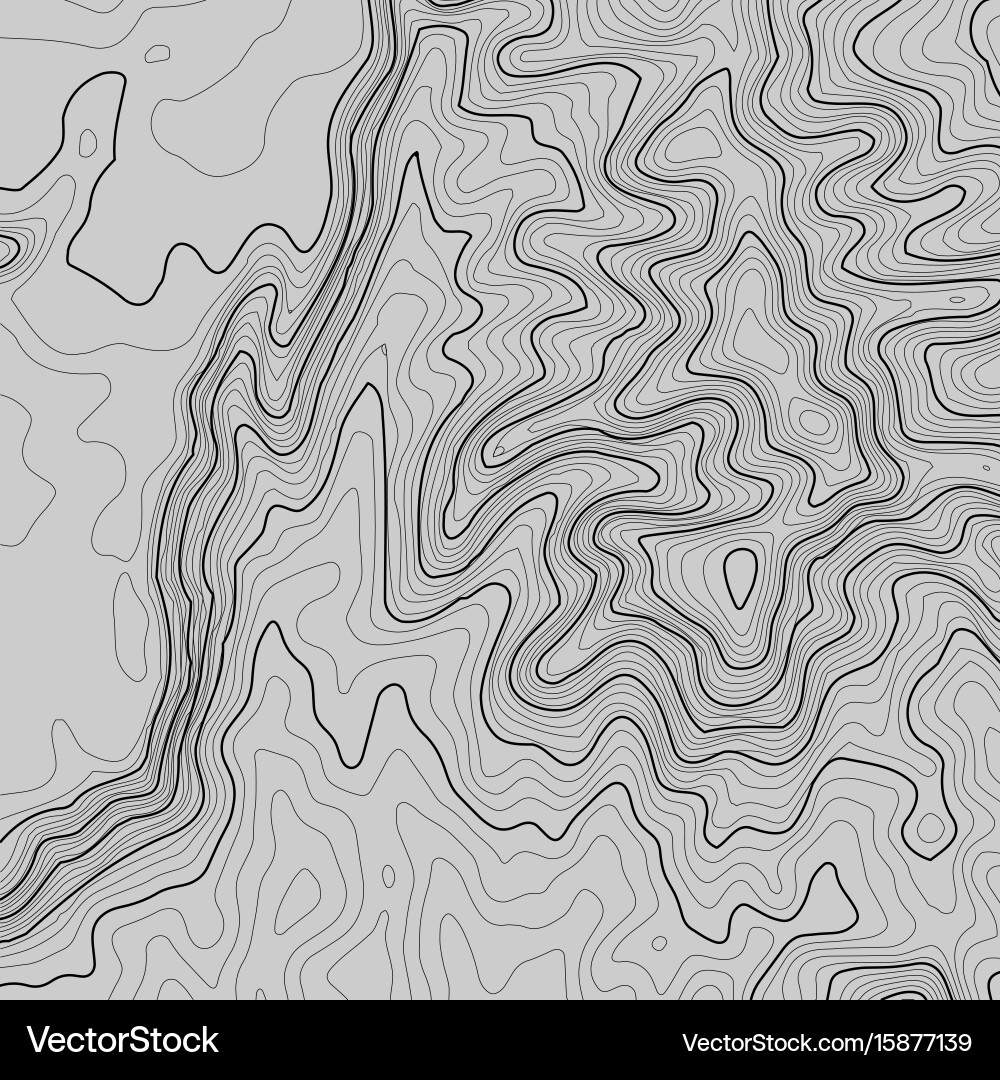 Topographic map background with space for copy vector image