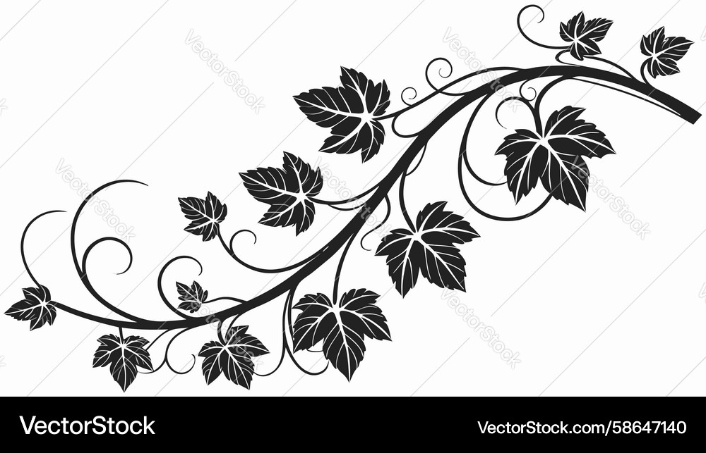 Ornate Scroll Motif Vector Image