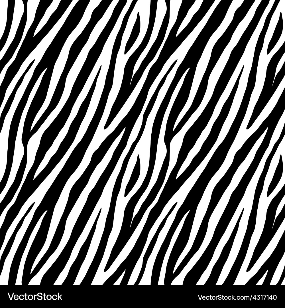 Zebra Stripes Seamless Pattern vector image