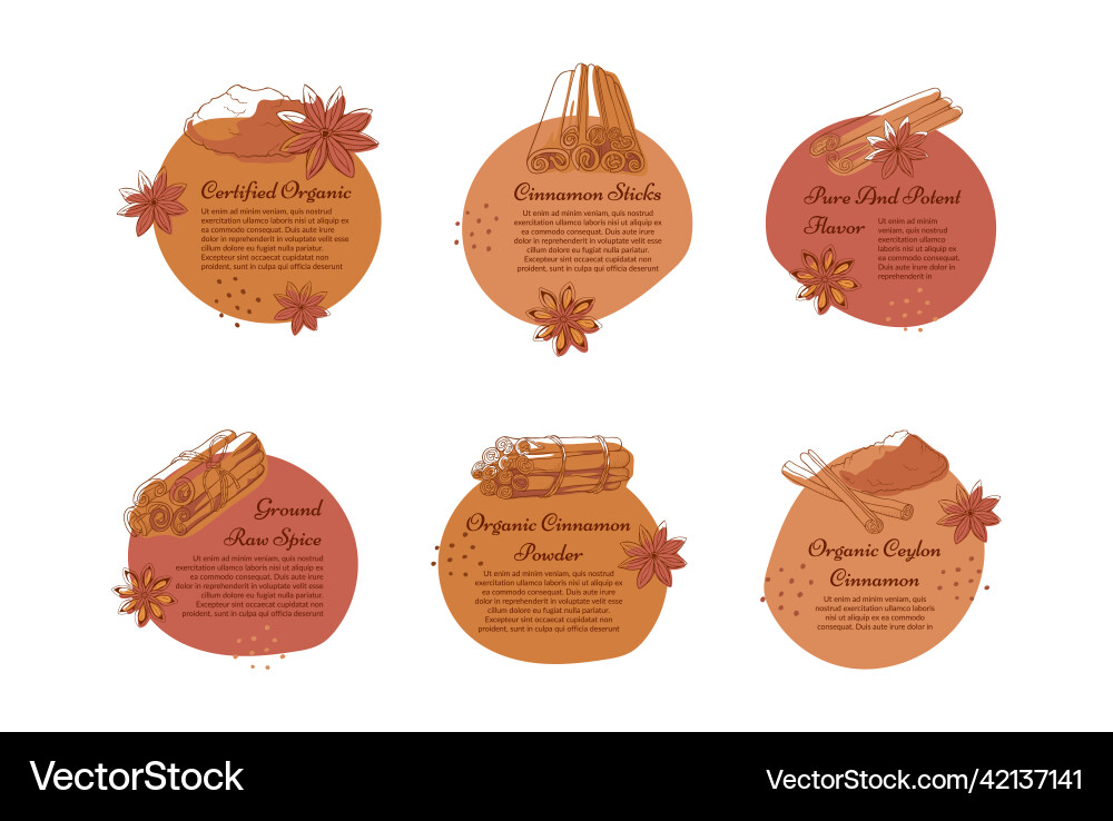 Cinnamon Sticks Labels - Dry Flavor Vector Image