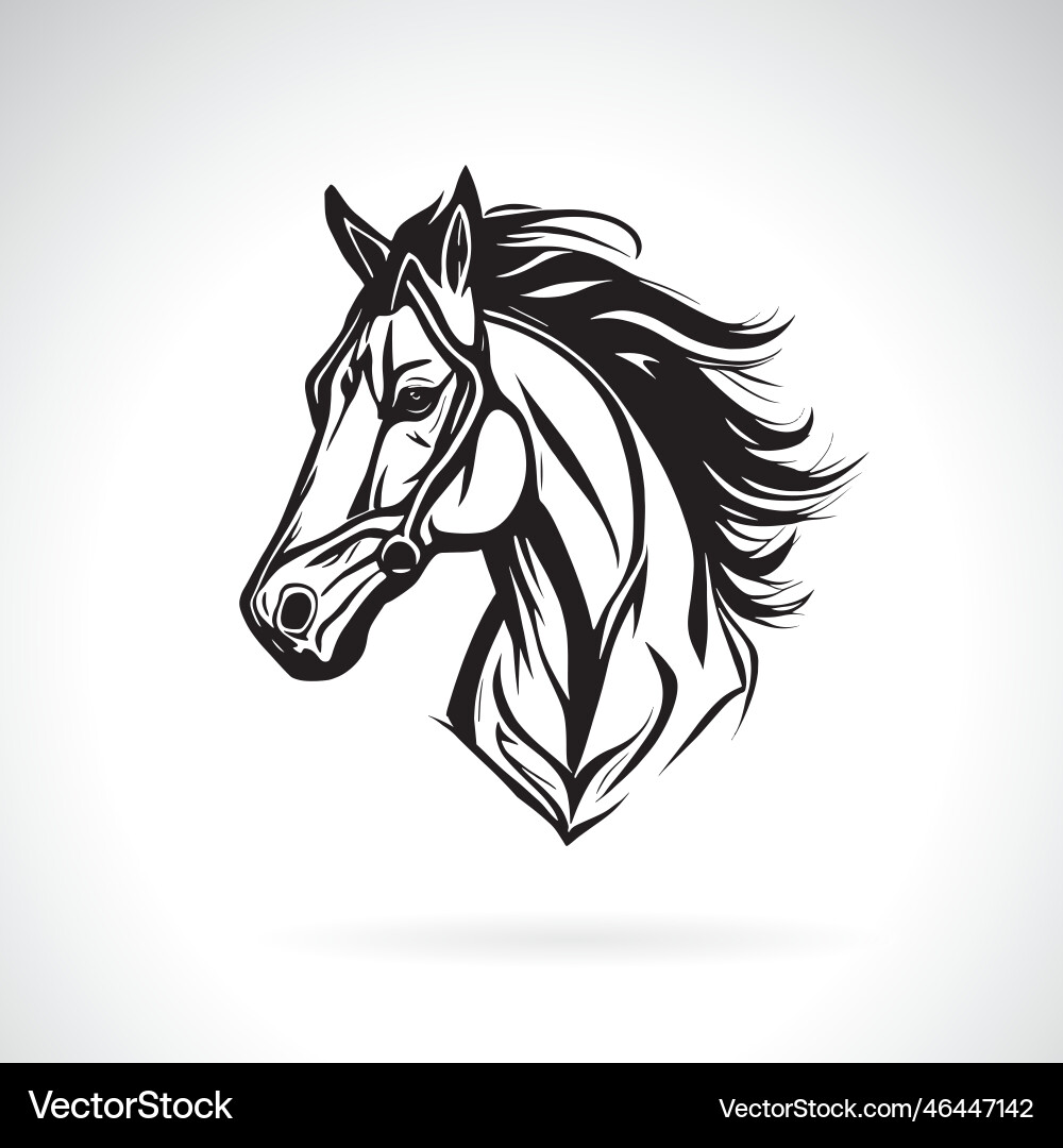 Horse head design on white background easy Horse head design on white background easy vector image