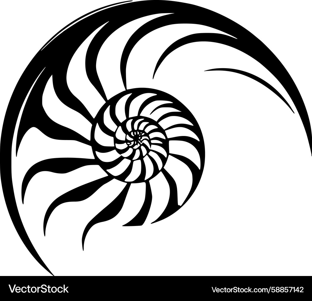 Nautilus Shell Spiral Pattern Vector Image