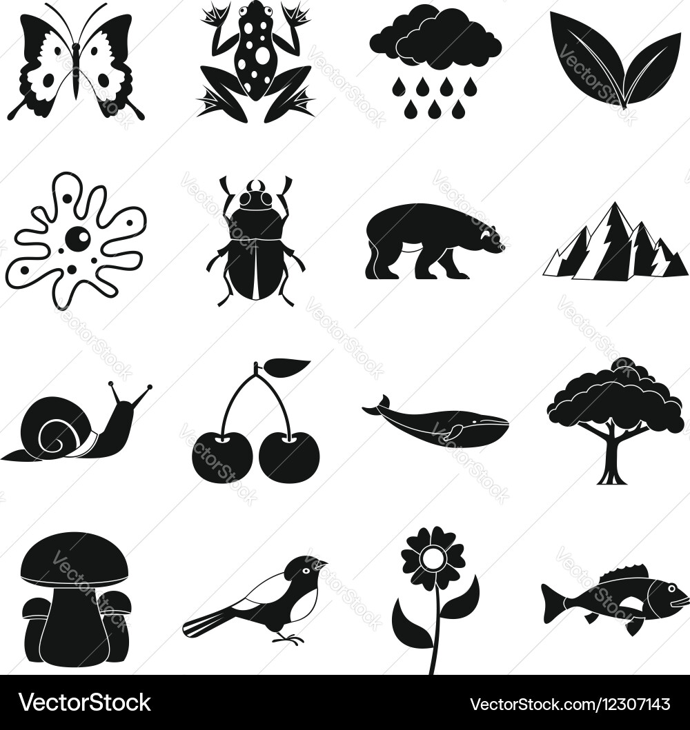 Nature items icons set simple style Vector Image