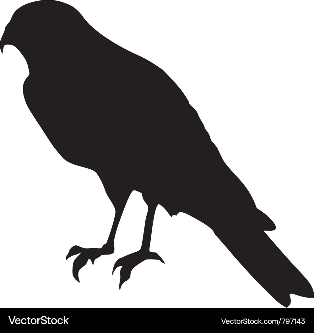 Silhouette of falcon Vector Image