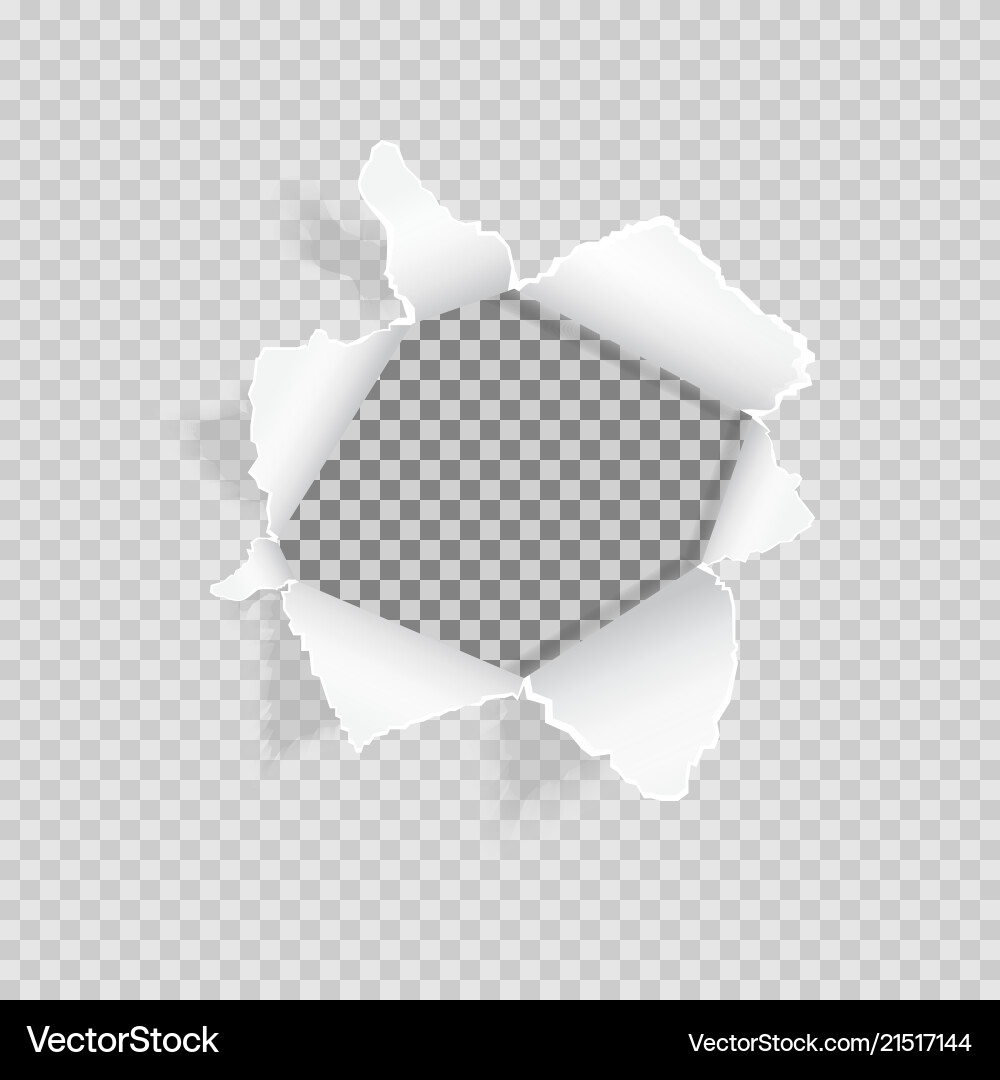 Torn Paper Ripped Hole Transparent Vector Image