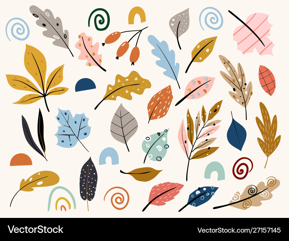 Set bunte Herbstblätter und Beeren Set bunte Herbstblätter und Beeren vektorbild