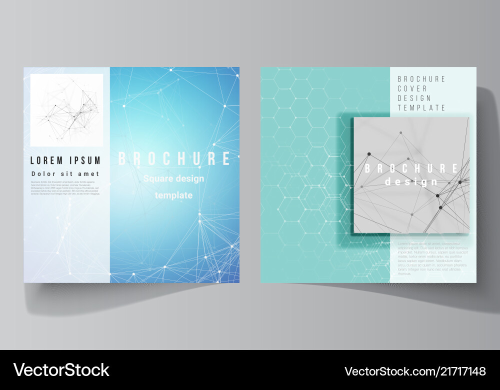 Layout of two square format covers Vector Image