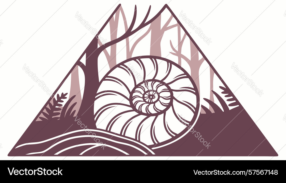 Nautilus shell in geometric triangle frame design Nautilus shell in geometric triangle frame design vector image