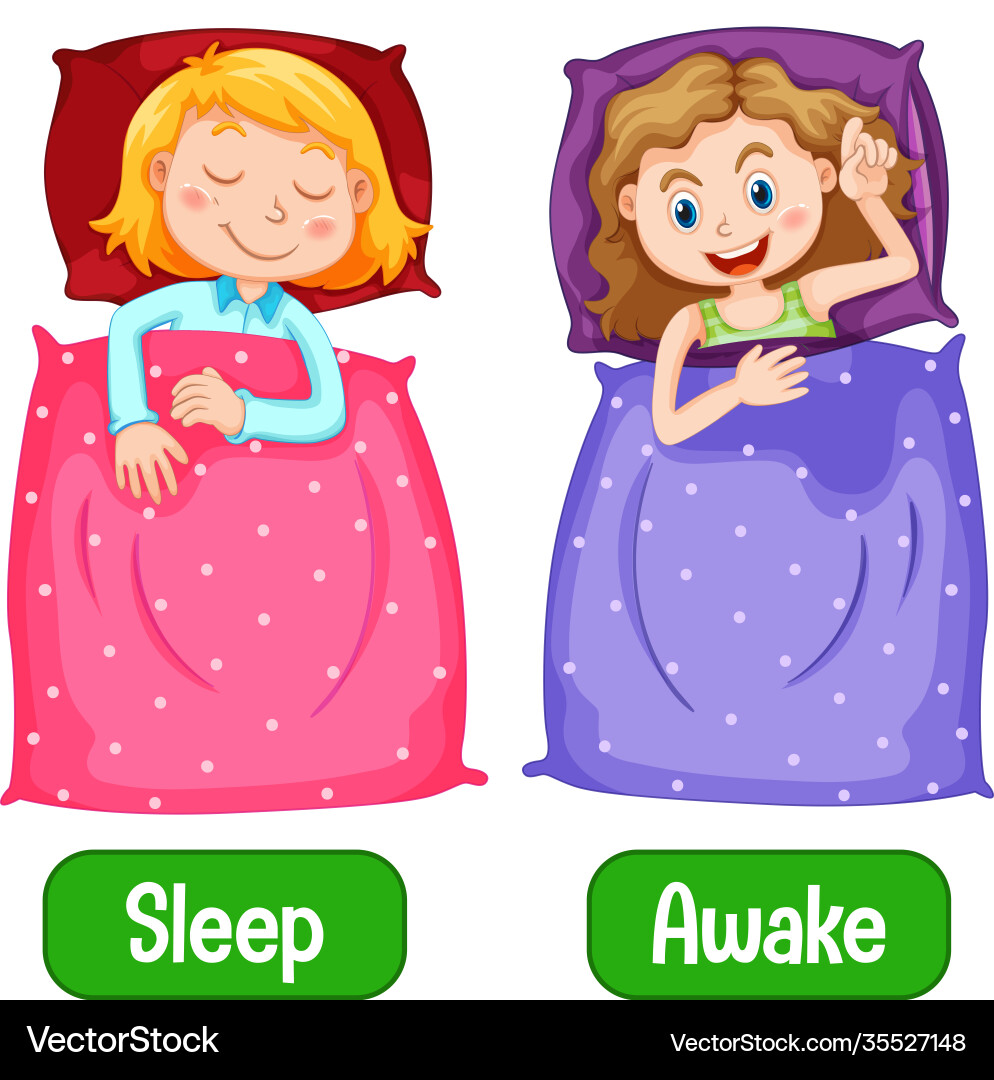 Opposite words with awake and sleep Opposite words with awake and sleep vector image