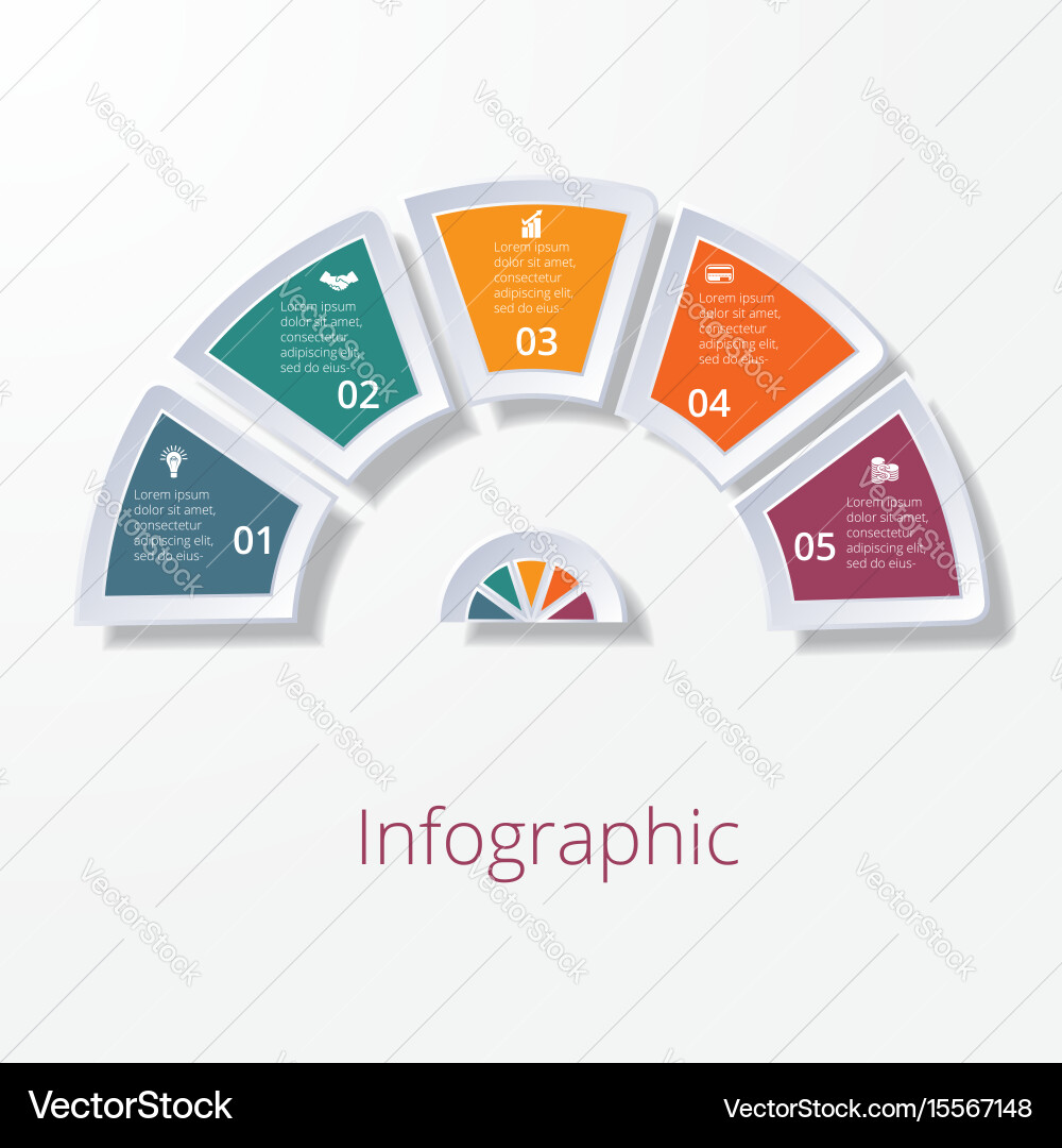 Semicircle diagram with five multicolored elements vector image