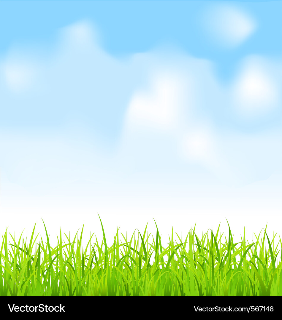 Vibrant Green Meadow with Blue Sky vector image