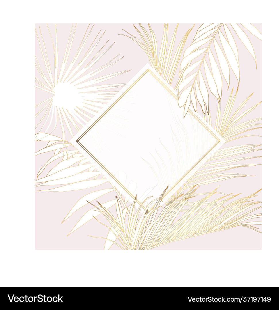 Tropical Palm Card Template Vector Image