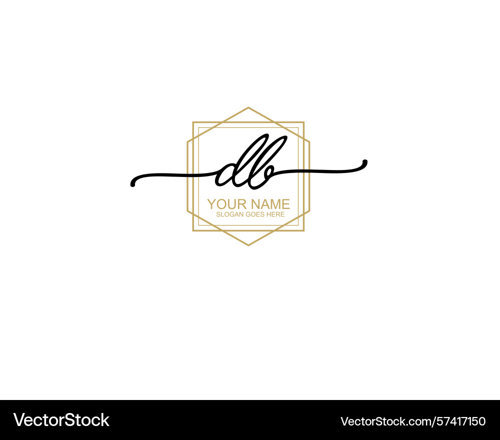 Stylish db monogram logo designs with modern line Vector Image